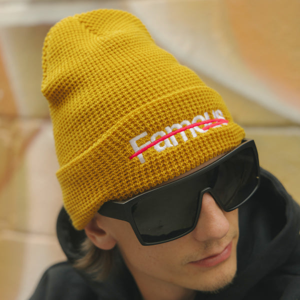 Not Famous "Waffle" beanie